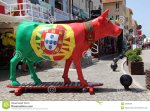 vaca-portuguesa-villamoura-o-algarve-25668466.jpg
