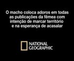 IMG_1145.jpeg
