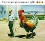 FB_IMG_1694474098402.jpg