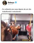 FB_IMG_1694542574636.jpg
