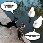 FB_IMG_1695979579247.jpg