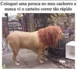 FB_IMG_1696168335499.jpg