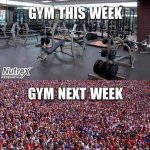 FB_IMG_1703813568220.jpg