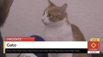 IMG_1934.jpeg