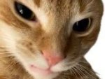 IMG_3328.jpeg