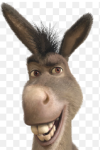 1757360438334.png