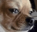 1001057624.gif