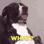 1001057754.gif