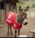 1001057482.jpg 1001057482.jpg