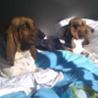 Álvaro Tavares Moreira