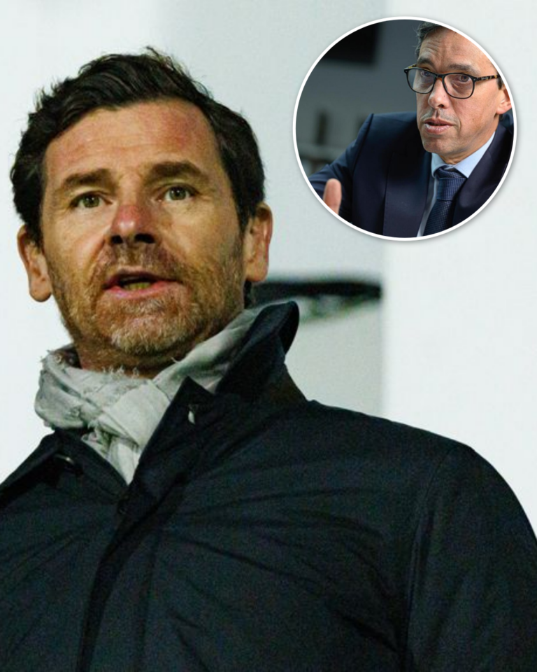 André Villas-Boas e Mário Santos recebidos quarta-feira pela Ministra do Desporto