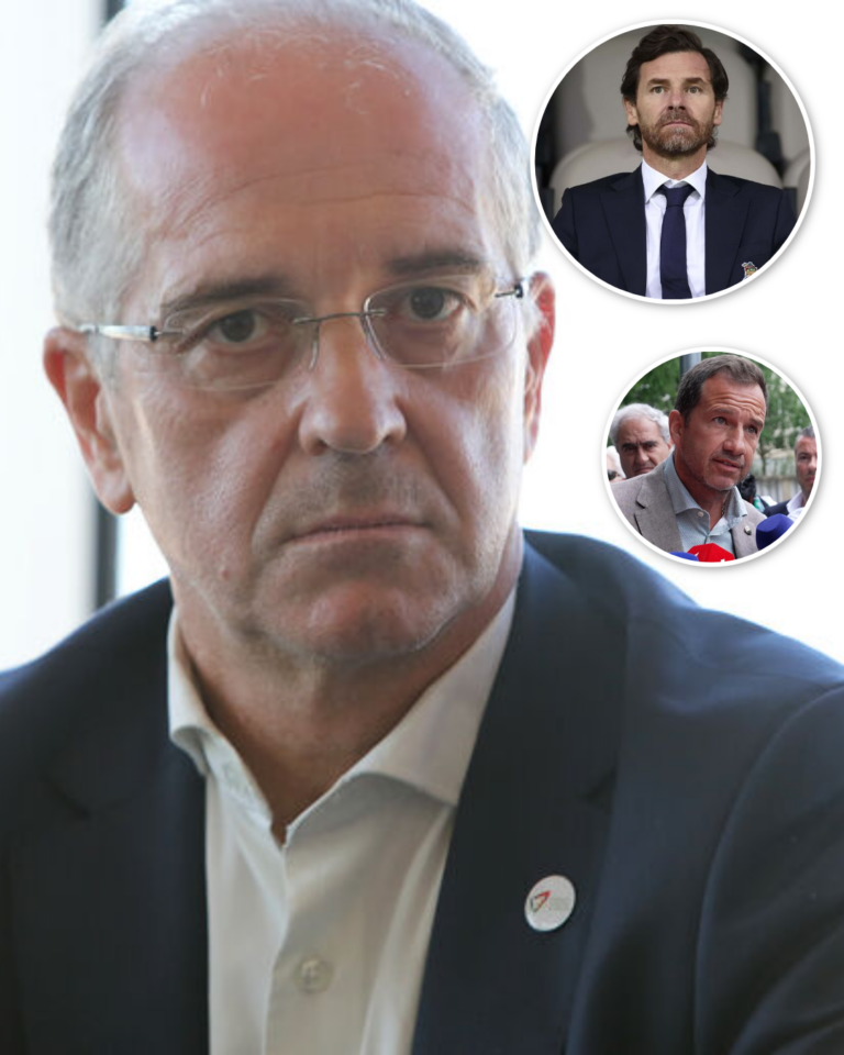 "Tem de haver alguma calma", pede presidente da Federação Portuguesa de Andebol após reunião com FC Porto e Sporting