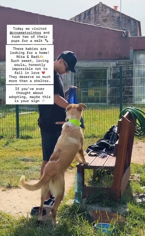 Kiwior e Claudia Redheaded visitam centro de recolha de animais e apelam à adoção