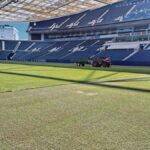 Relvado do Estádio do Dragão já está em processo de substituição