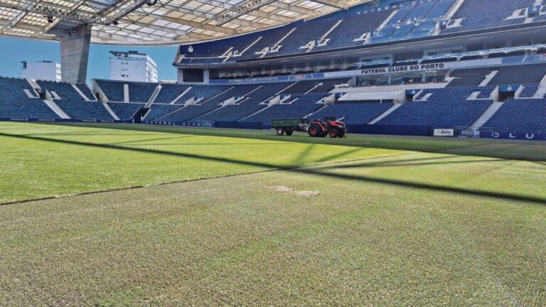 Relvado do Estádio do Dragão já está em processo de substituição
